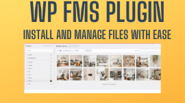 WP FMS Plugin