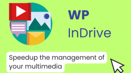 WP InDrive