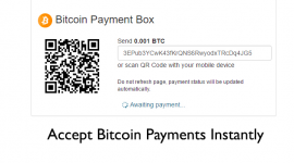 Bitcoin Payment Terminal